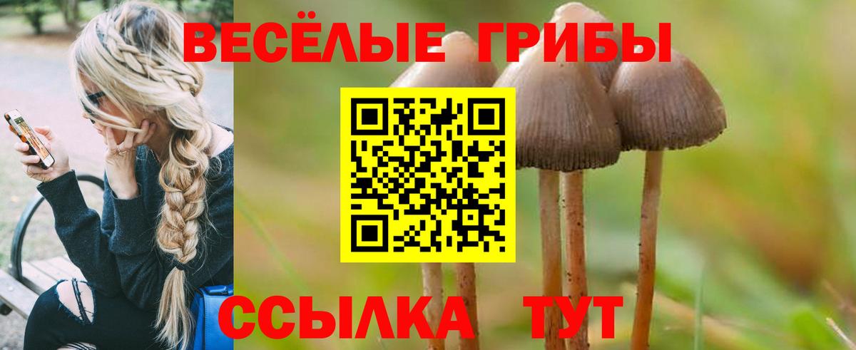 Галлюциногенные грибы Psilocybine cubensis  Вход с VPN  Первоуральск 